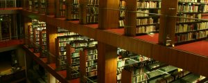 decoration image: Library at Night